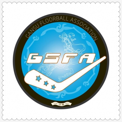 1741771627624854.jpg 甘肃省旱地冰球运动协.jpg